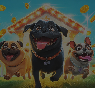 The Dog House
